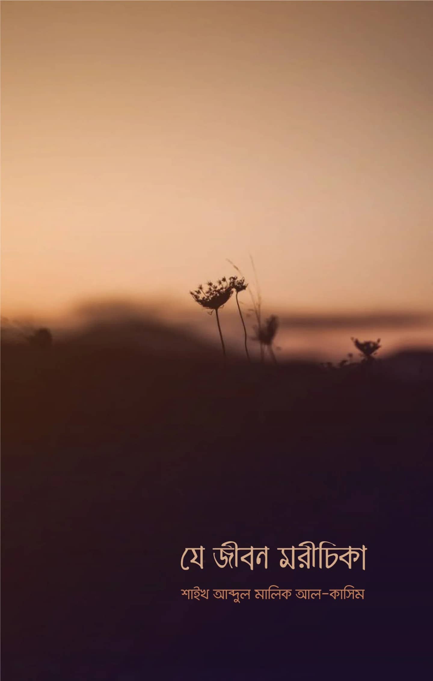 যে জীবন মরিচিকা
