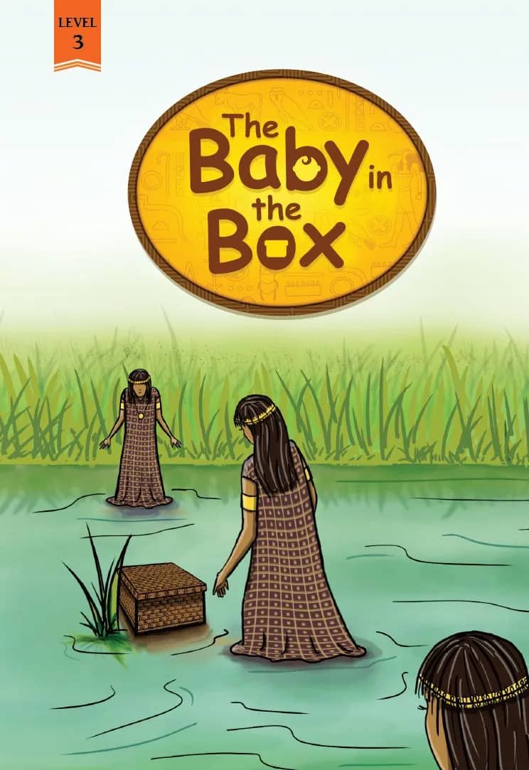 The Baby In The Box
