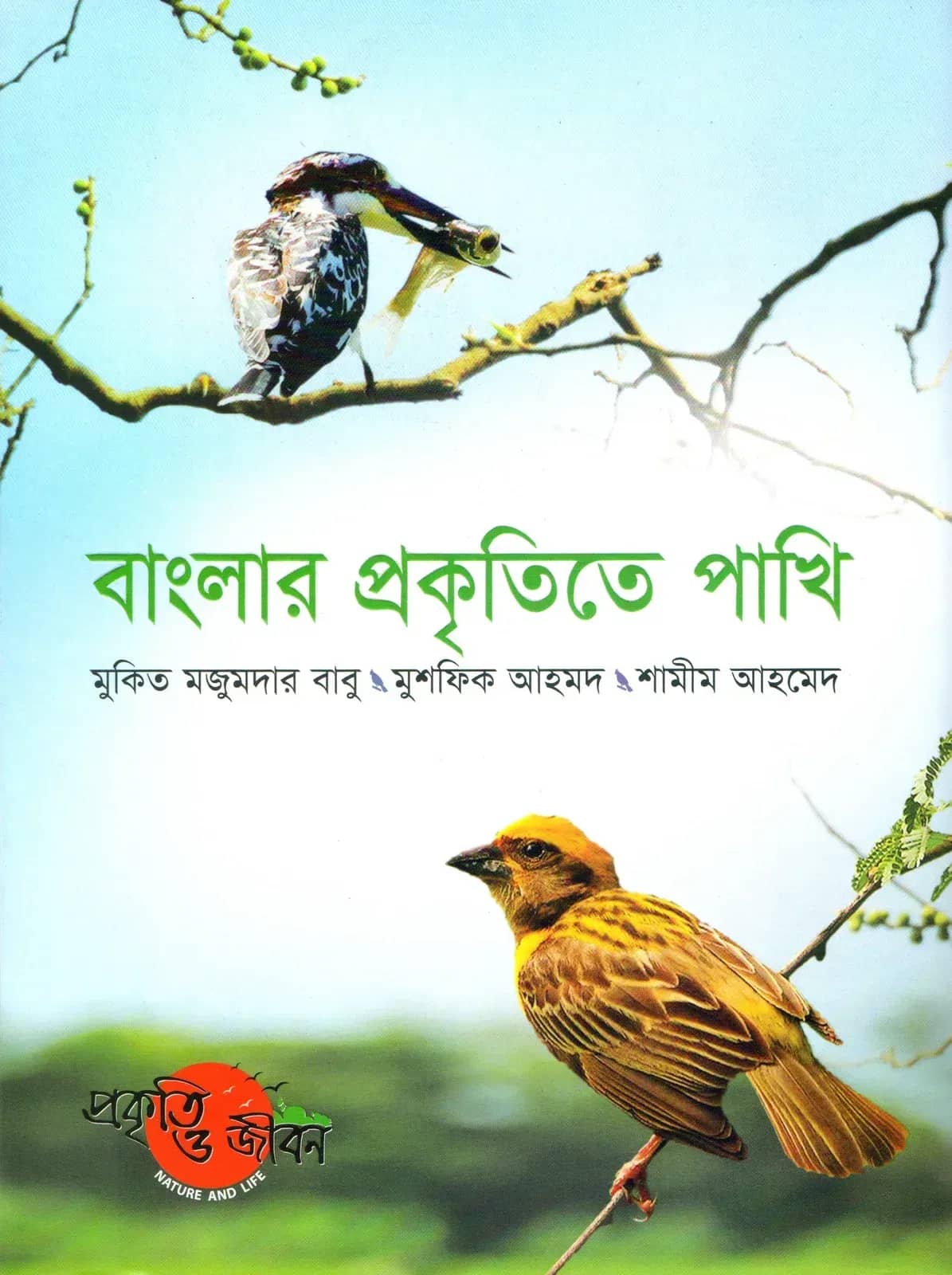 বাংলার প্রকৃতিতে পাখি