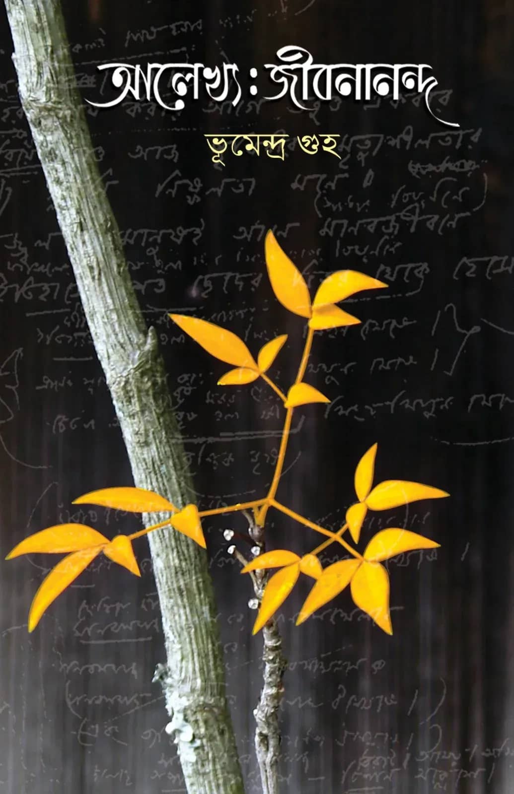 আলেখ্য: জীবনানন্দ