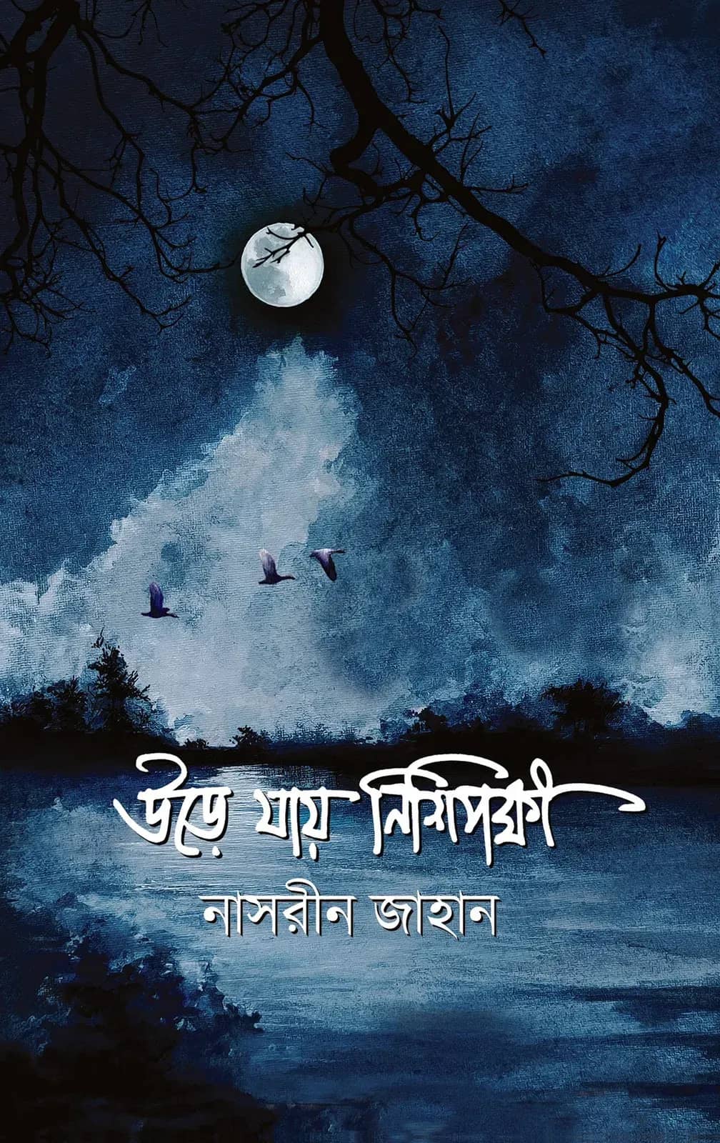 উড়ে যায় নিশিপক্ষী