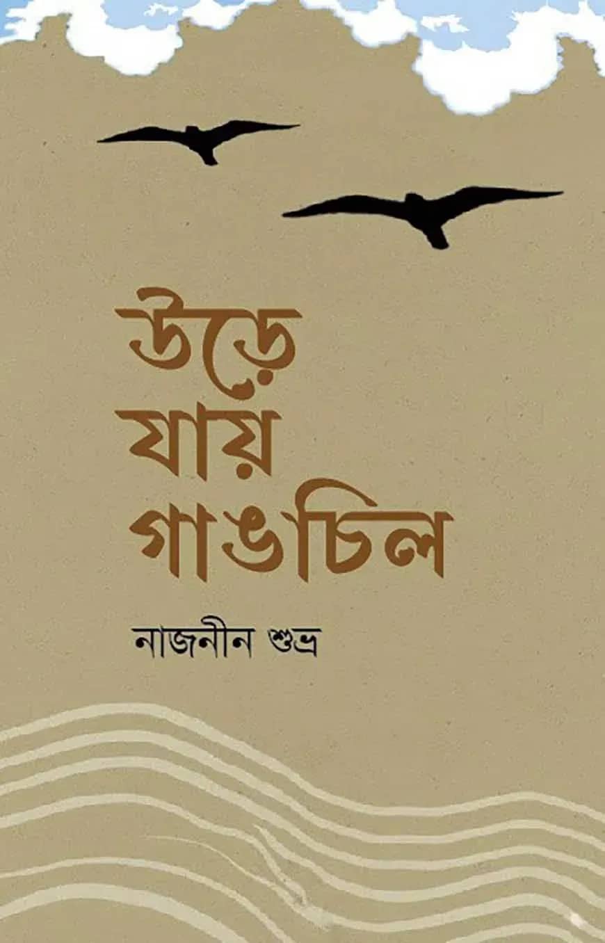 উড়ে যায় গাঙচিল