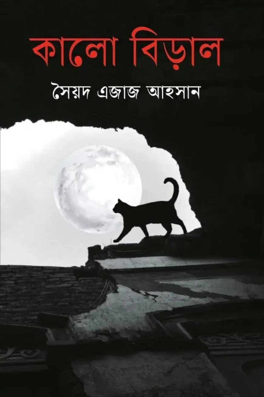 কালো বিড়াল