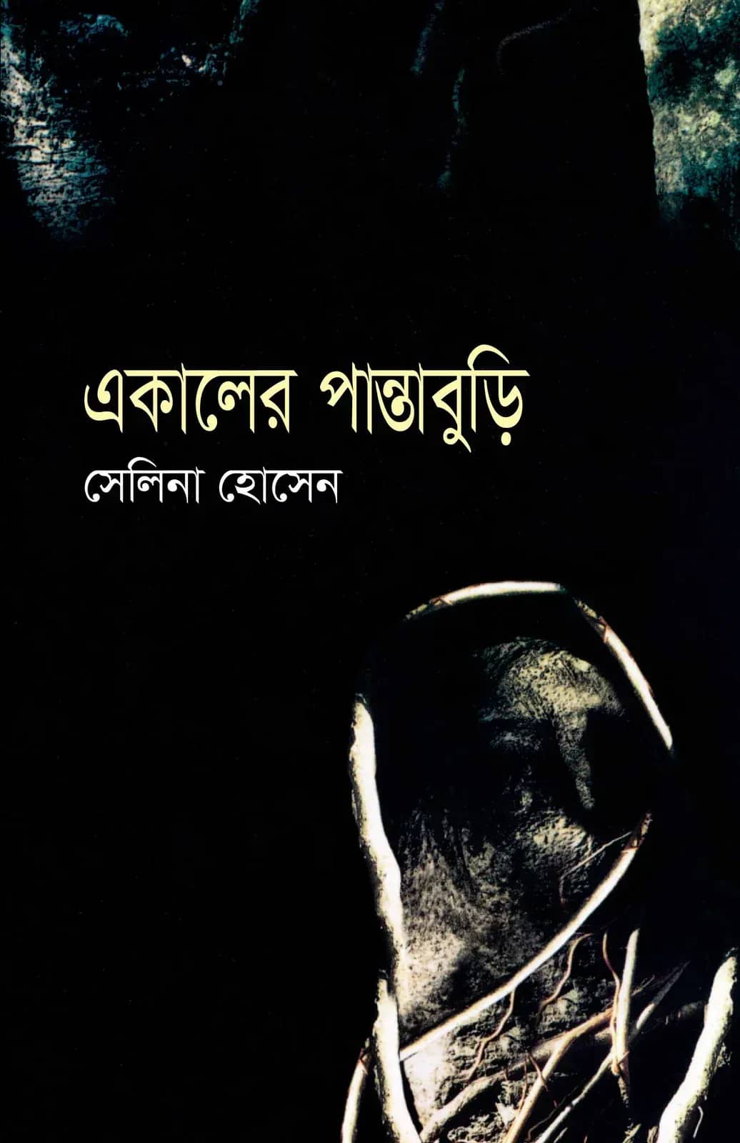 একালের পান্তাবুড়ি