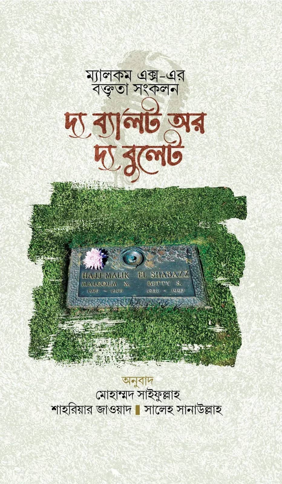 দ্য ব্যালট অর দ্য বুলেট