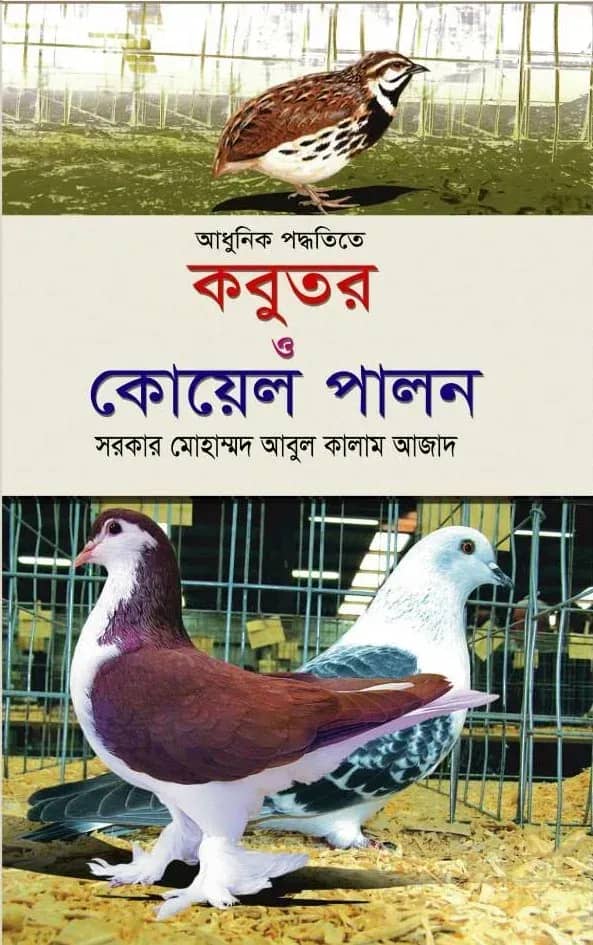আধুনিক পদ্ধতিতে কবুতর ও কোয়েল পালন