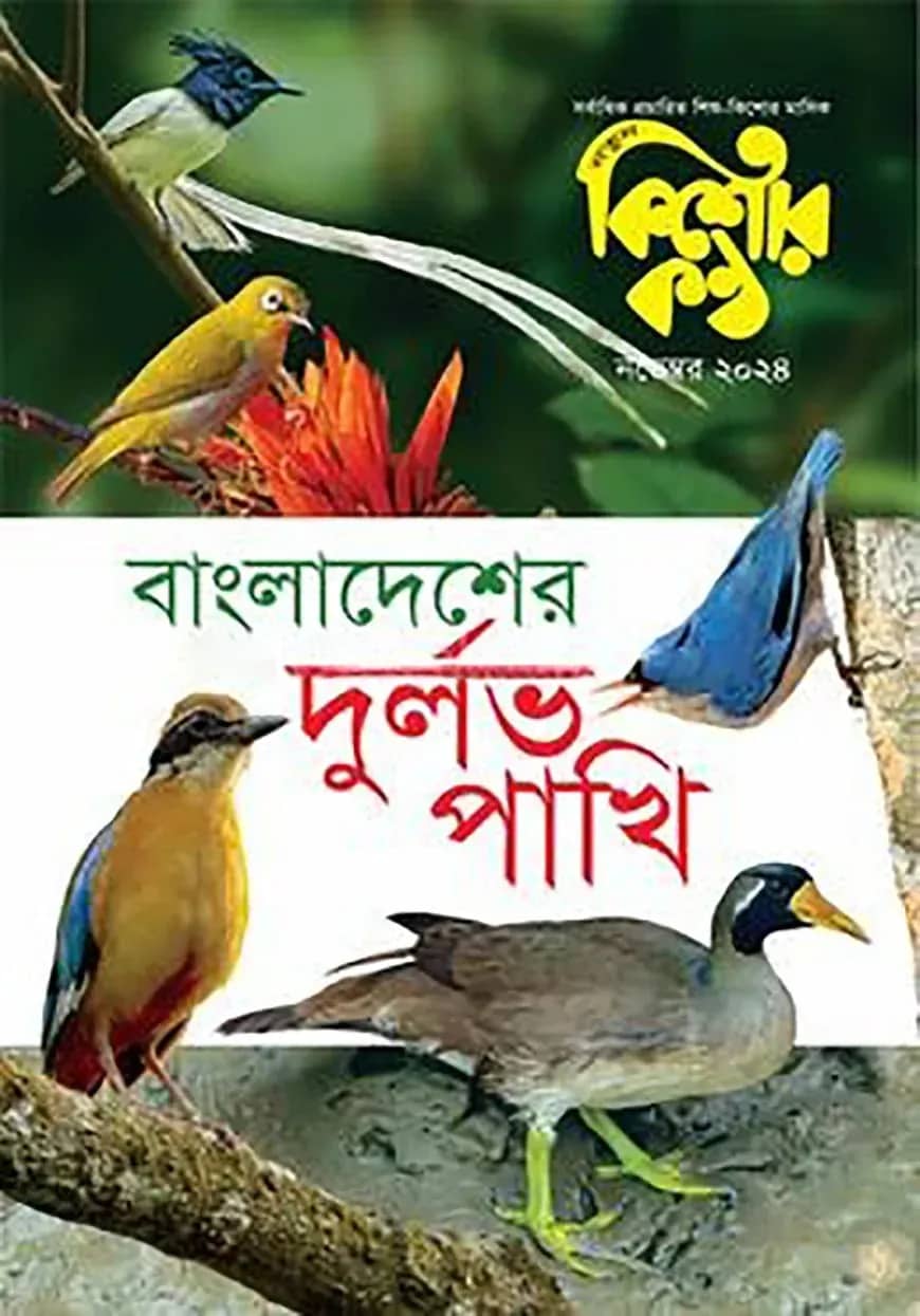 কিশোরকণ্ঠ নভেম্বর ২০২৪(পেপারব্যাক)