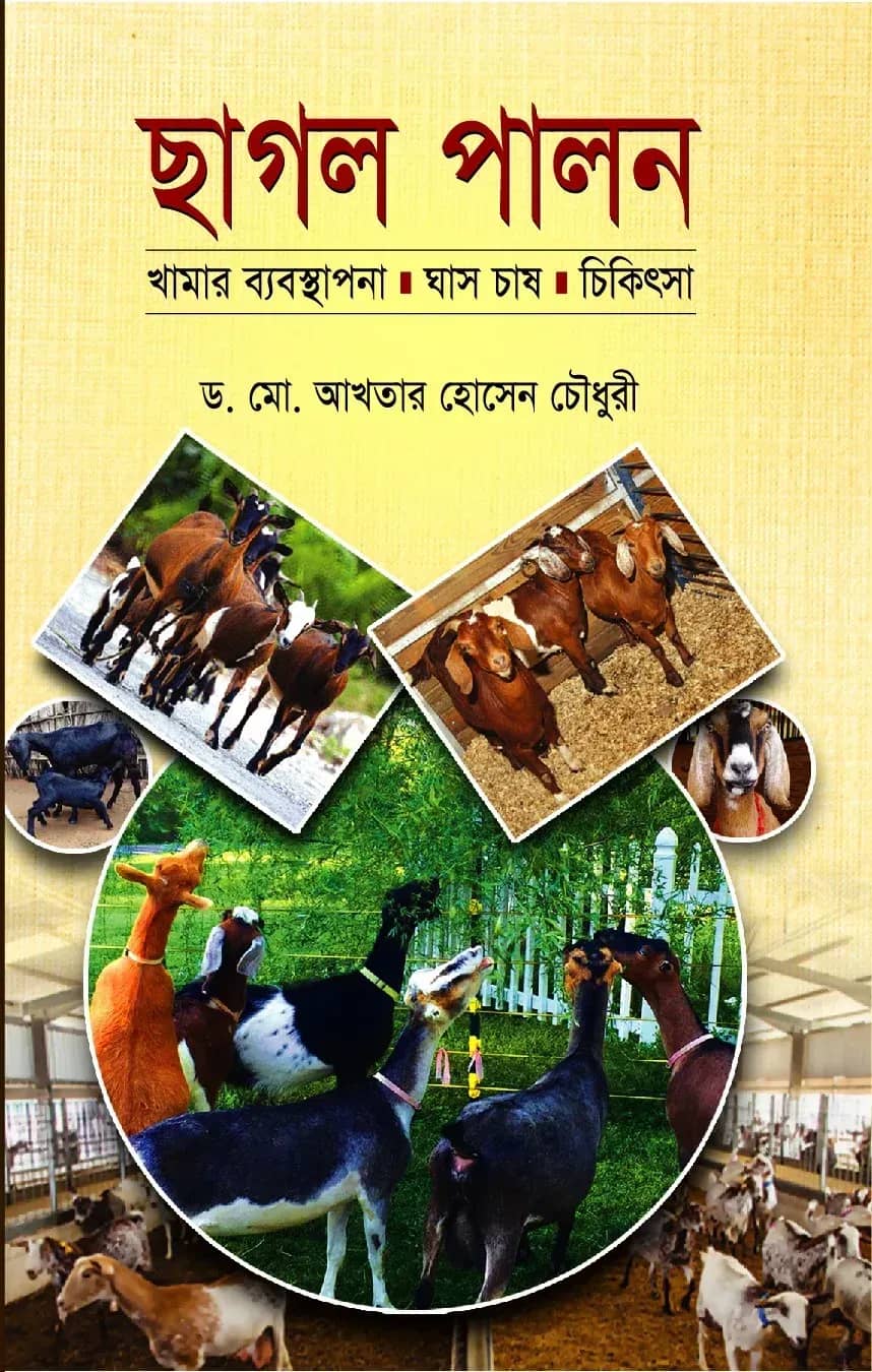 ছাগল পালন খামার ব্যবস্থাপনা ঘাস চাষ চিকিৎসা