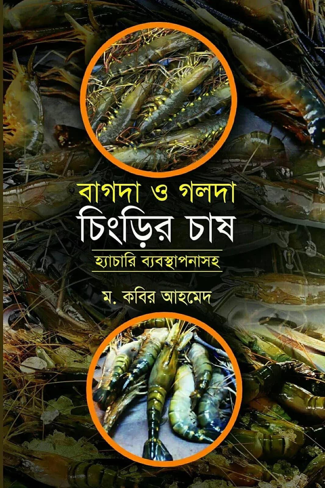 বাগদা ও গলদা চিংড়ি চাষ