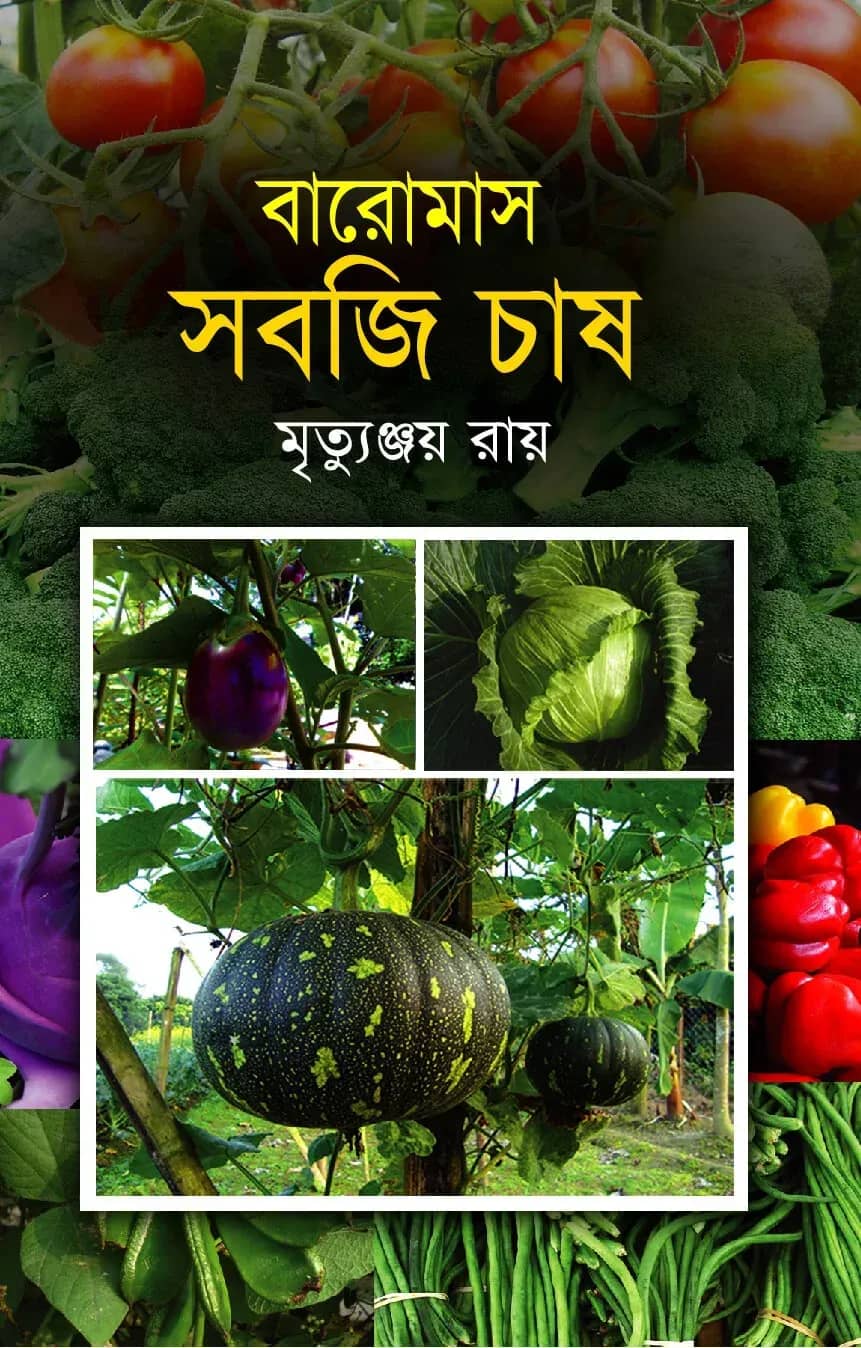 বারোমাস সবজি চাষ