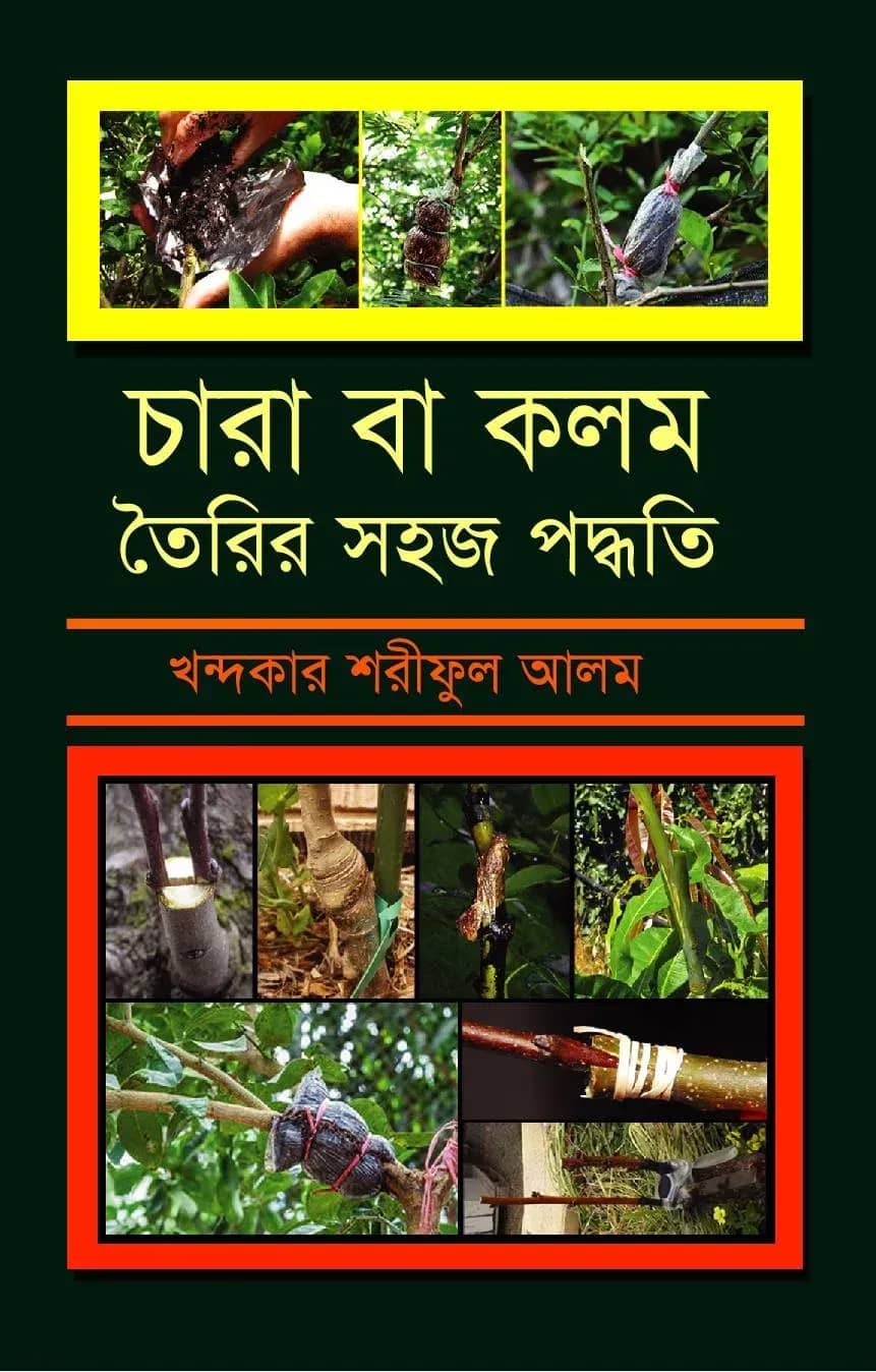 চারা বা কলম তৈরির সহজ পদ্ধতি