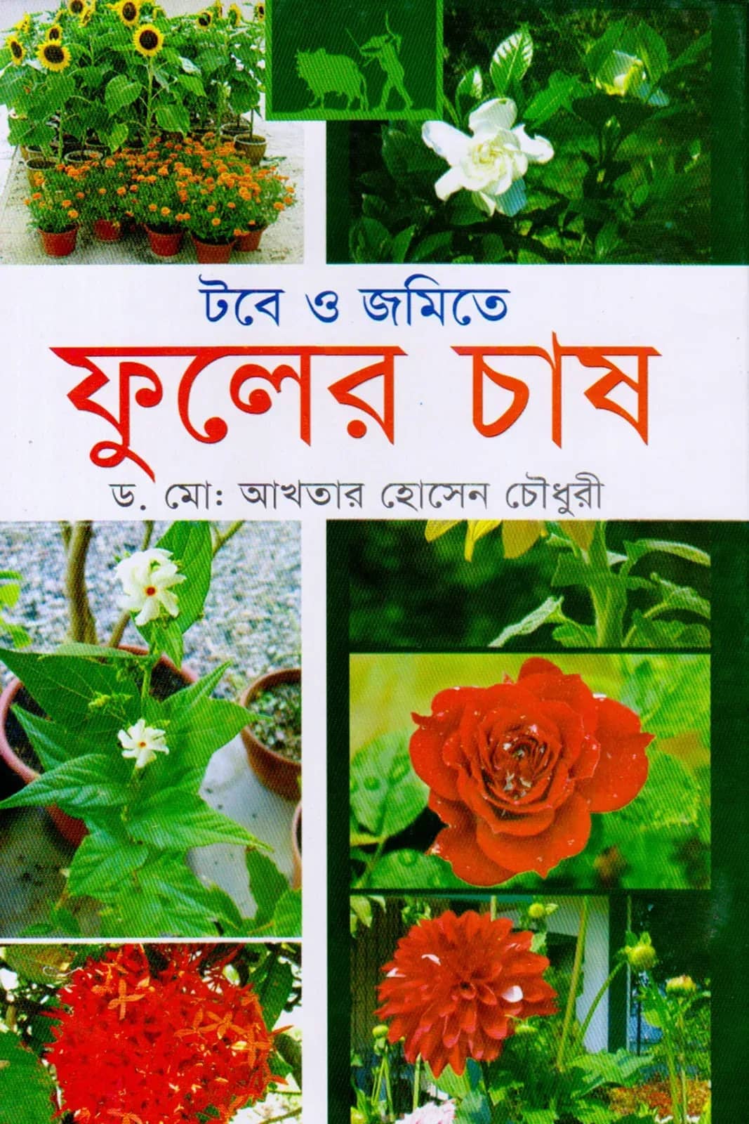 টবে ও জমিতে ফুলের চাষ