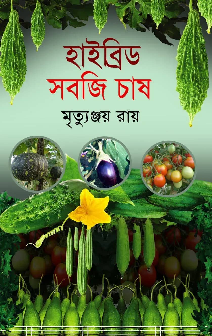 হাইব্রিড সবজি চাষ