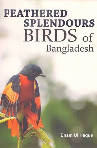 Feathered Splendours Birds of Bangladesh