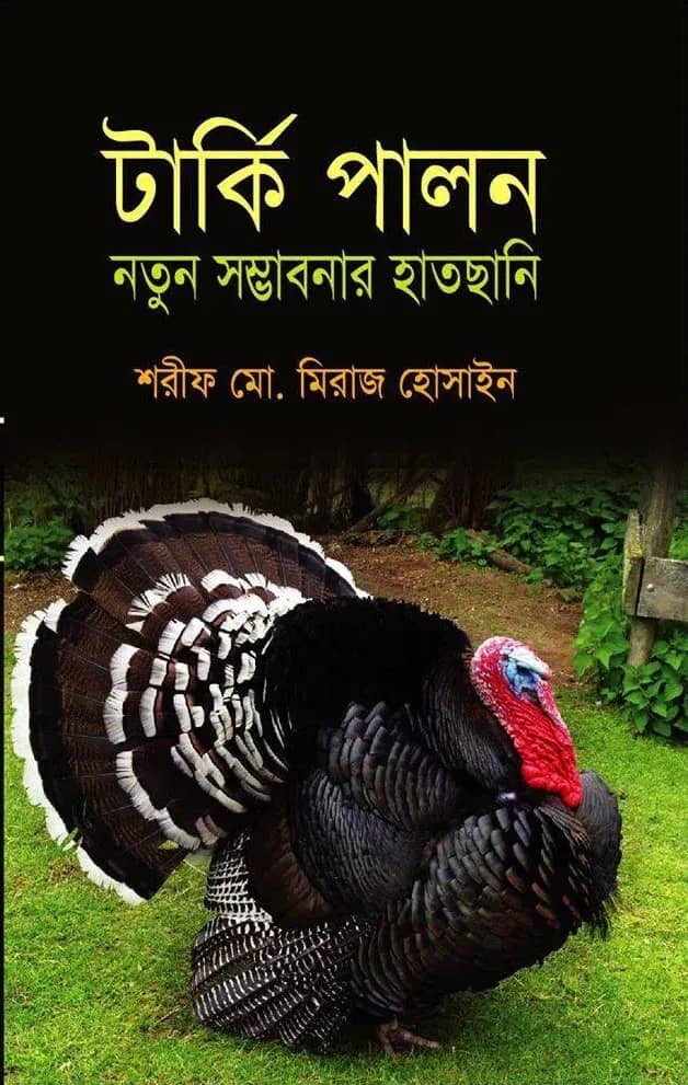 টার্কি পালন নতুন সম্ভাবনার হাতছানি