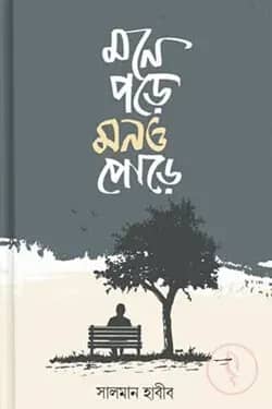 মনে পড়ে মনও পোড়ে