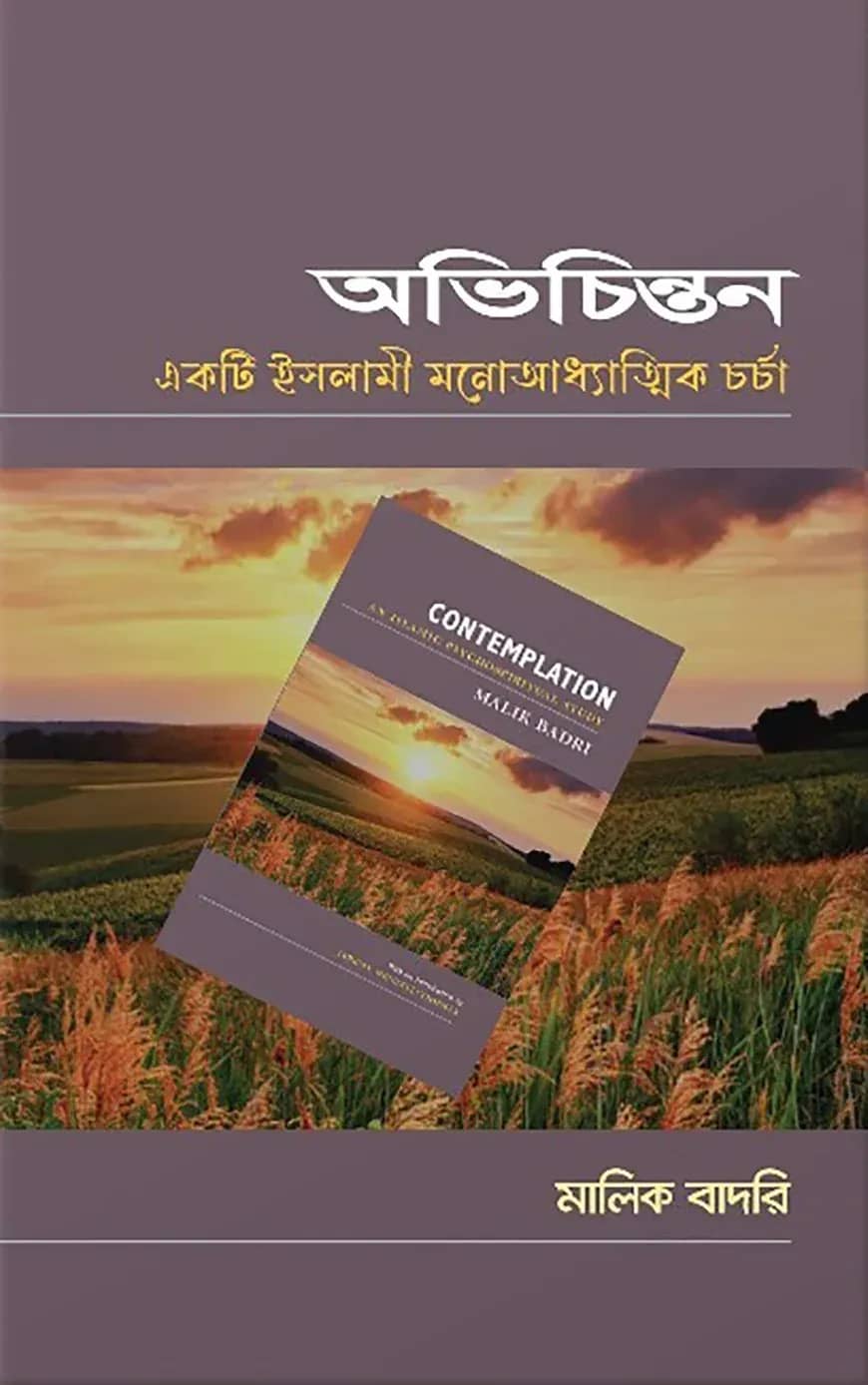 অভিচিন্তনঃ অনুভবের দৃশ্যময়তা