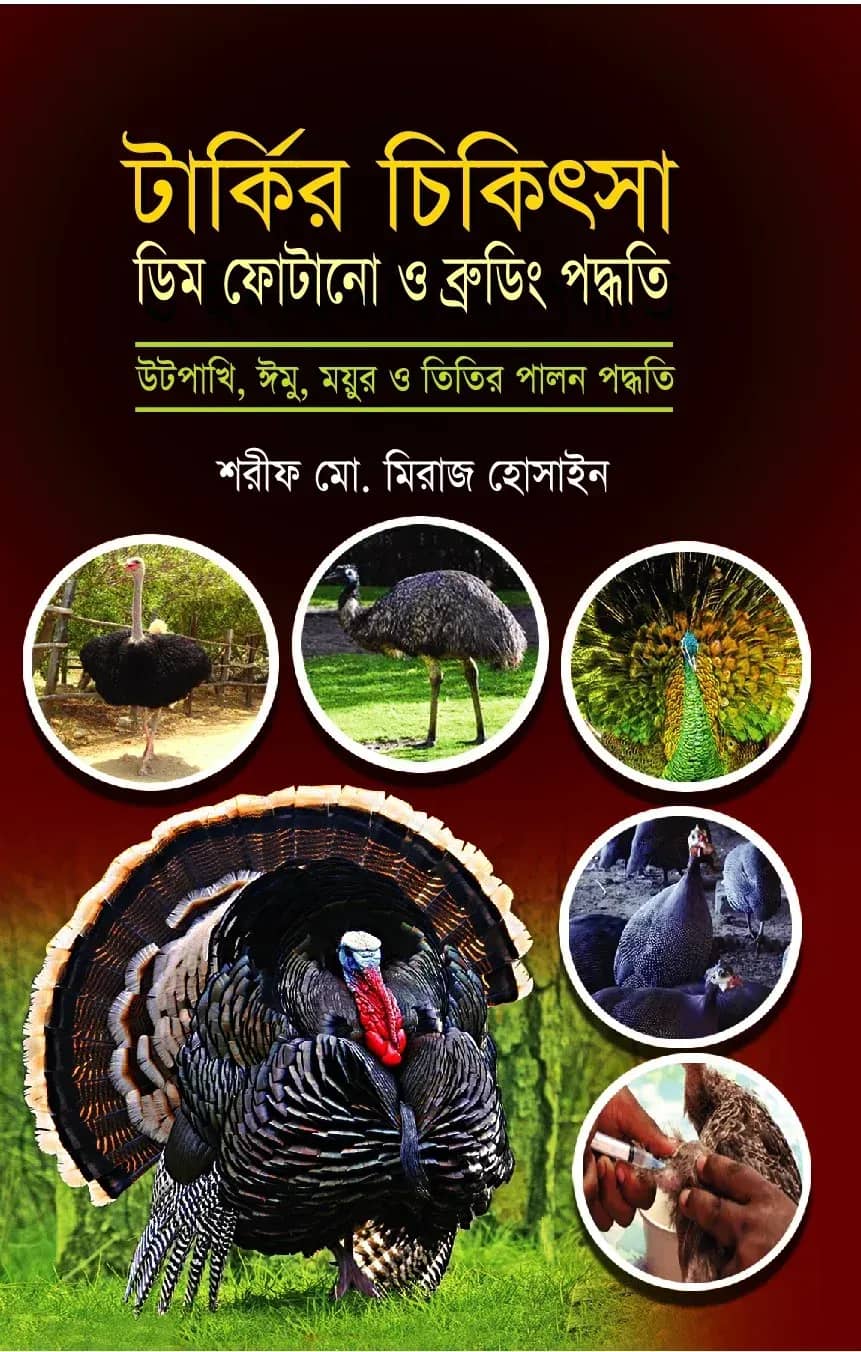 টার্কির চিকিৎসা ডিম ফোটানো ব্রুডিং পদ্ধতি