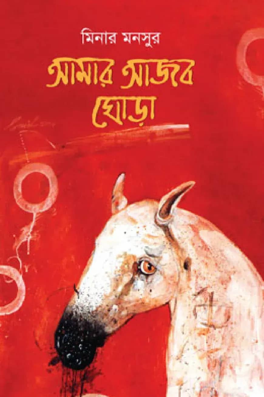 আমার আজব ঘোড়া