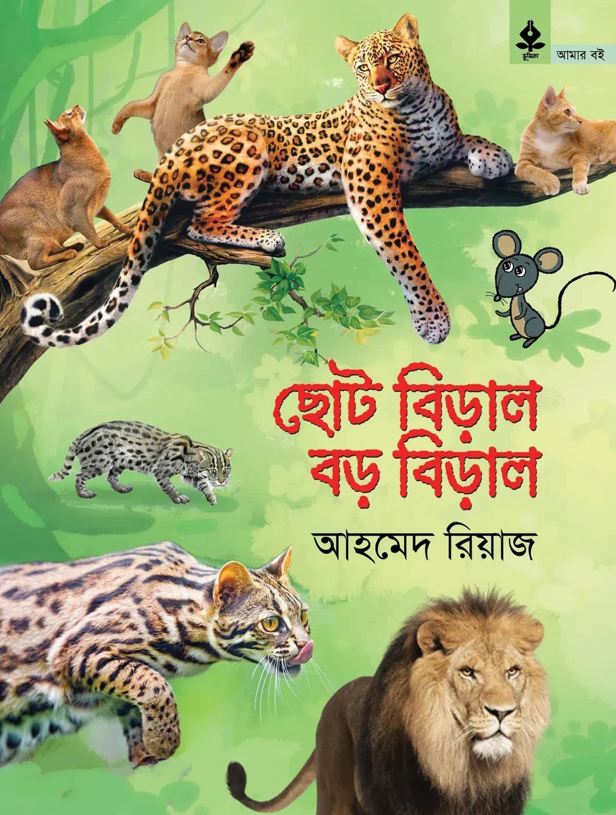 ছোট বিড়াল বড় বিড়াল