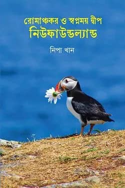 রোমাঞ্চকর ও স্বপ্নময় দ্বীপ নিউফাউন্ডল্যান্ড