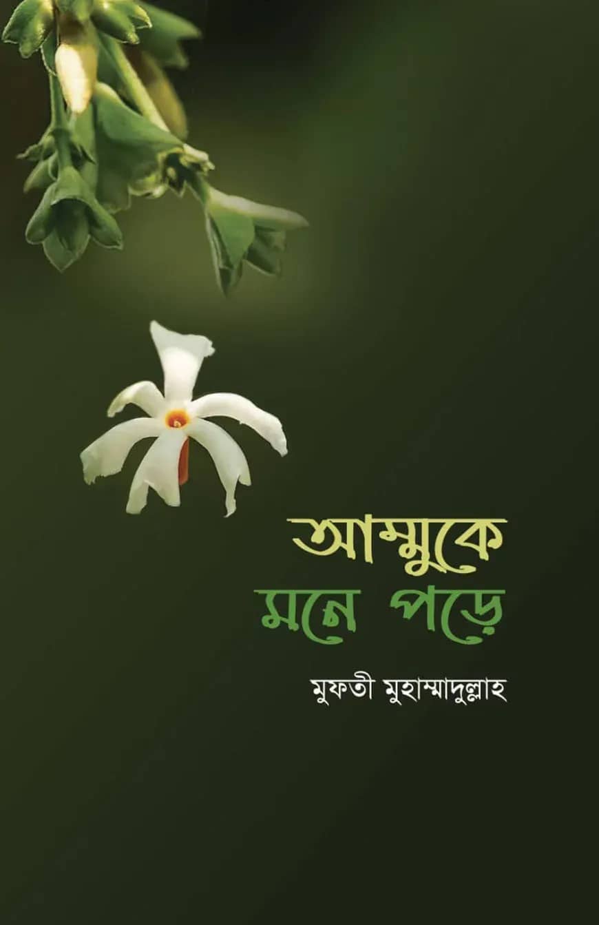 আম্মুকে মনে পড়ে