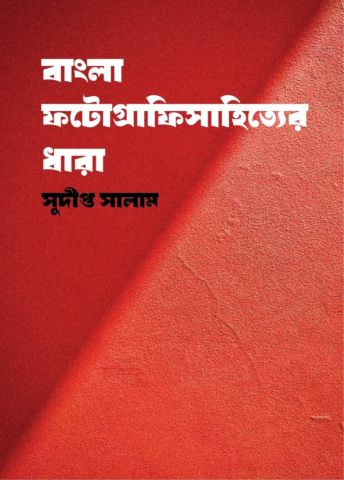 বাংলা ফটোগ্রাফিসাহিত্যের ধারা