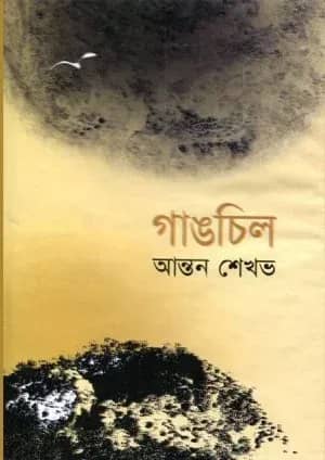 গাঙচিল